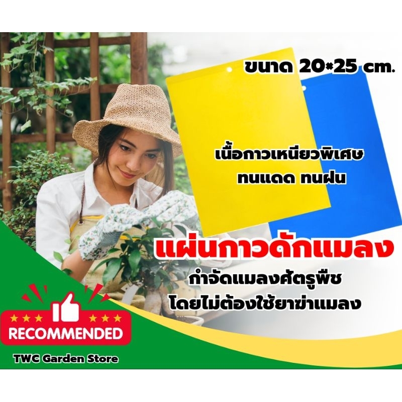 แผ่นกาวดักแมลง ขนาด (L)20x25cm. แพ็ค 20,10 แผ่น กำจัดแมลง เพลี้ย แมลงหวี่ แผ่นพลาสติกเคลือบกาว คุณภาพดี ใช้งานได้นาน