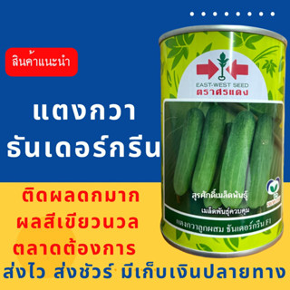 (ของแท้ ส่งไว) แตงกวา ธันเดอร์กรีน 100 กรัม