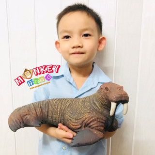 Monkey Toys - โมเดลสัตว์ แมวน้ำ วอลรัส ขนาด 33.00 CM (จากหาดใหญ่)