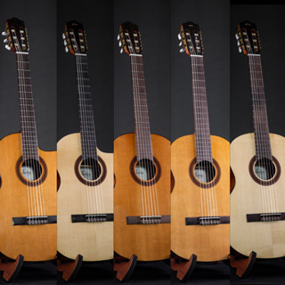 กีต้าร์คลาสสิค Cordoba C5 Classic Guitar กีตาร์คลาสสิค กีตาร์