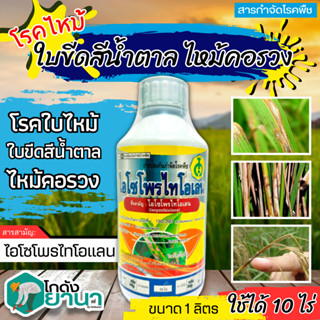 🌾 ไอโซโพไทโอเลน (ไอโซโพรไทโอเลน) ขนาด 1ลิตร ป้องกันกำจัดโรคใบไหม้