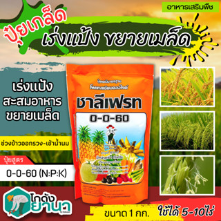 🌾 0-0-60 (ชาลีเฟรท) ขนาด 1กิโลกรัม เร่งหวาน เร่งสี เร่งหัว