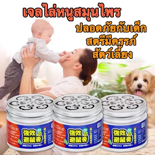 NP-625 ครีมไล่หนูที่แข็งแรง เจลไล่หนูจากพืชน้ำมันหอมระเหย ครีมไล่หนูที่แข็งแกร่งสำหรับใช้ในครัวเรือน รถในร่ม ยาขับไล่หนู