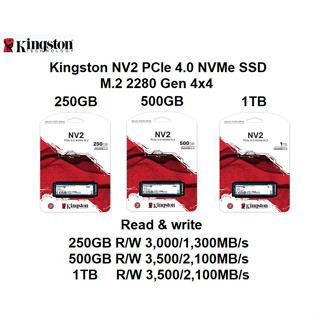 Kingston NV2 PCIe 4.0 NVMe SSD M.2.2280 Gen 4x4 ขนาดให้เลือก 250GB 500GB และ 1TB อ่านสูงสุด 3,500MB/s เขียนสูงสุด 2,100M