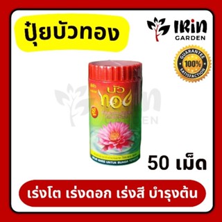 ปุ๋ยบัวทอง เอ็กตร้า 250 กรัม (50 เม็ด) ของแท้ 100% เร่งดอก เร่งสี เร่งโต บำรุงพืช บัว กล้วยไม้ บัวทอง