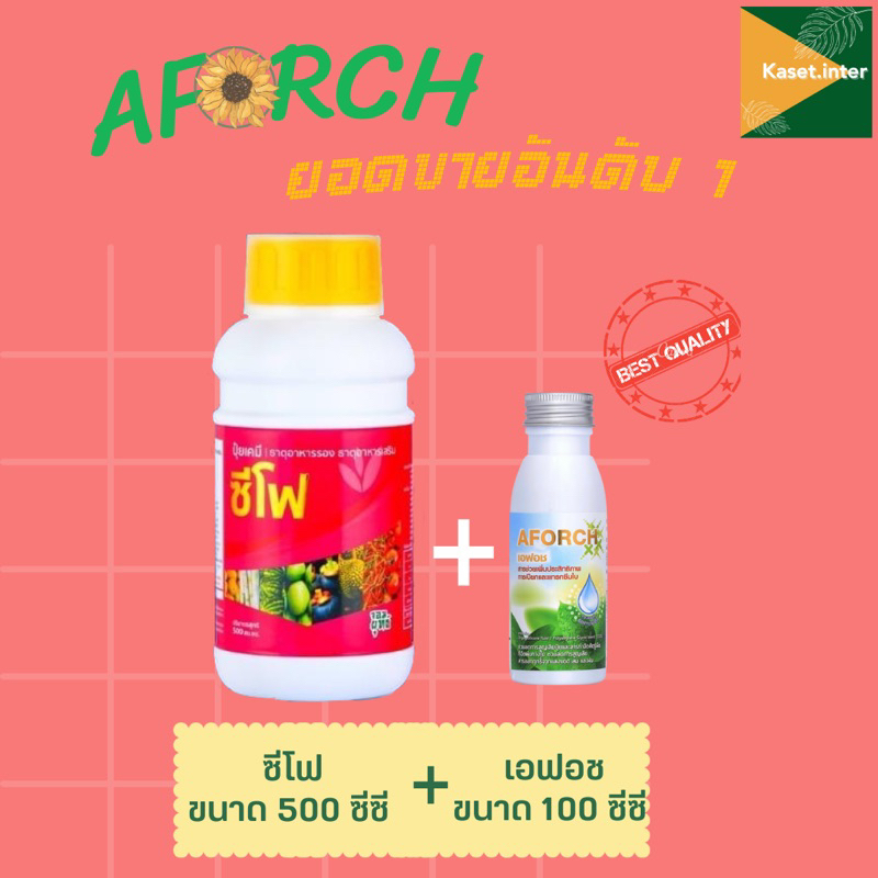 ชุด ซีโฟ 500ซีซี + เอฟอช 100ซีซี / แกรมม่าทู 500ซีซี / เอมม่า 500ซีซี ชุดเอฟอช เอฟอช เอฟอส