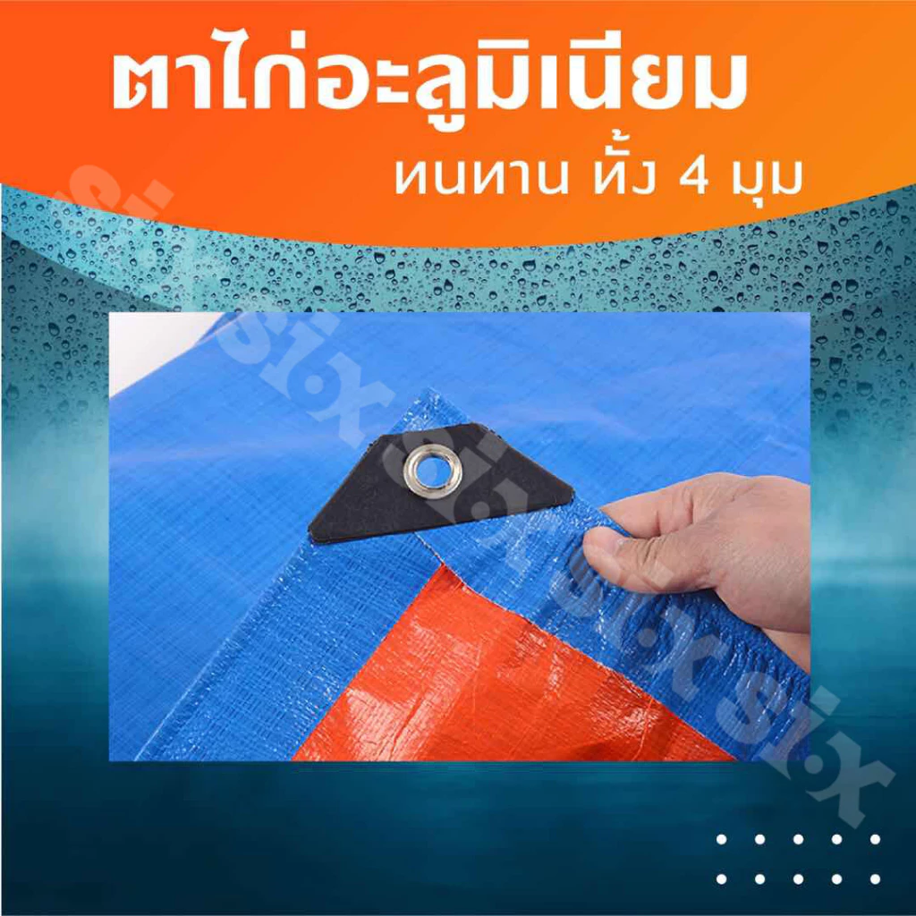 ผ้าใบกันแดดกันฝนมีขนาด 2x2เมตร 2x3เมตร 2x4เมตร 3x4เมตร 4x5เมตร มีตาไก่ ผ้าใบพลาสติกเอนกประสงค์บลูชีทฟ้าขาว ผ้าใบคลุมรถ thumbnail 5