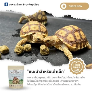 🧡(Lotใหม่สุดEXPเดือน7/2028)🧡🐢อาหารเต่าบกPro-reptiles Junior สูตรเต่าเด็กเม็ดเล็ก🐢
