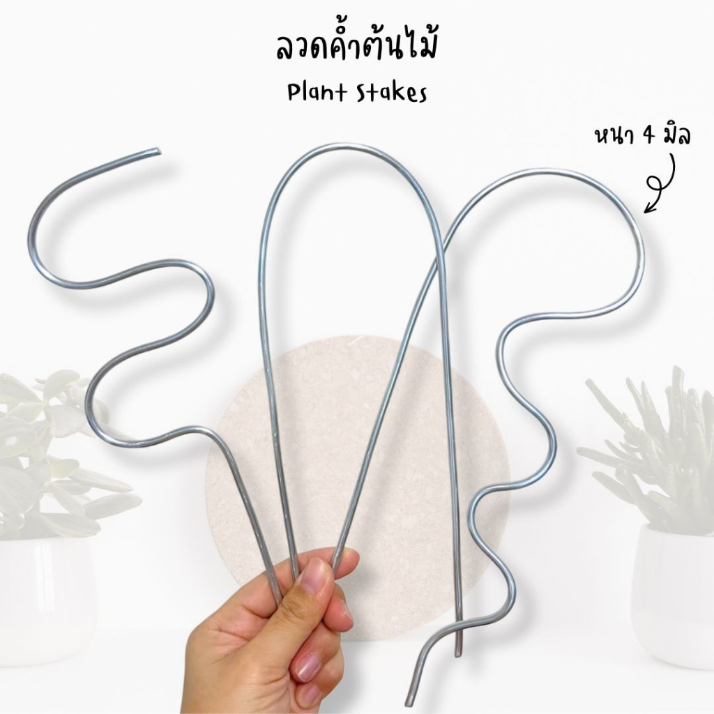 ลวดค้ำต้นไม้ ลวดดัดต้นไม้แบบหนา มินิมอลน่ารัก เพิ่มความแข็งแรงให้กิ่งน้อง ลวด 4 มิลลิเมตร พร้อมส่ง อุปกรณ์ดูแลไม้เลื้อย