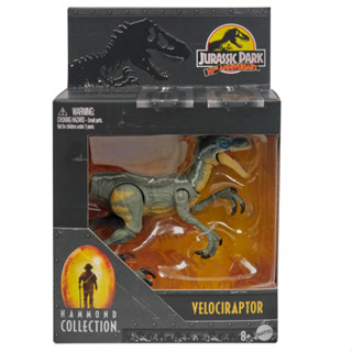 ของเล่น Hammond Collection Jurassic World Velociraptor (Jurassic Park 3)