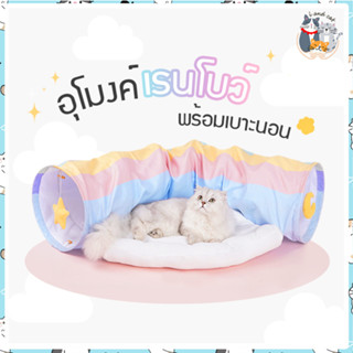 I&amp;CAT อุโมงค์เรนโบว์ 2IN1 ของเล่นอุโมงค์พร้อมเบาะนอน ที่นอนสัตว์เลี้ยง ของเล่นแมว บ้านสัตว์เลี้ยง