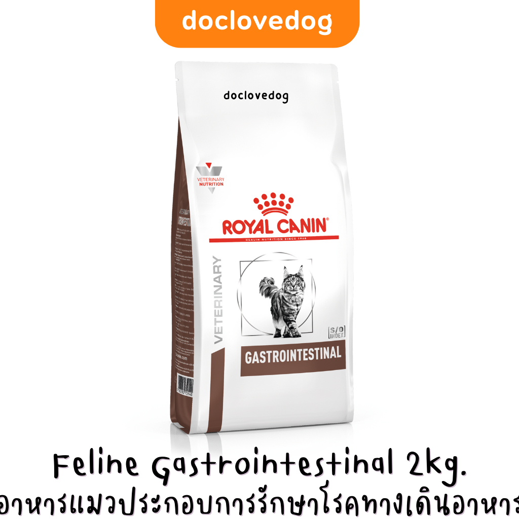 Royal Canin Gastrointestinal cat 2 kg อาหารเม็ดสำหรับแมวโรคระบบทางเดินอาหาร ท้องเสีย อาเจียน การดูดซึมอาหารผิดปกติ