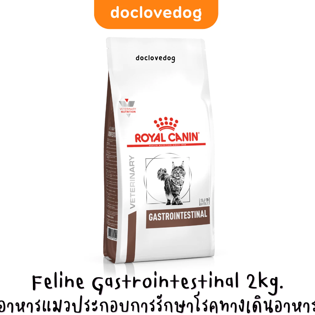 Royal Canin Gastrointestinal cat 2 kg อาหารเม็ดสำหรับแมวโรคระบบทางเดินอาหาร ท้องเสีย อาเจียน การดูดซึมอาหารผิดปกติ