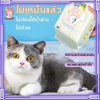 🐶จัดส่งวันนั้น🐱 อ่อนโยนและไม่ระคายเคือง ทําความสะอาดทันท（ทิชชู่เปียกแมว/ทิชชู่เปียกหมา/ทิชชู่เปียก）