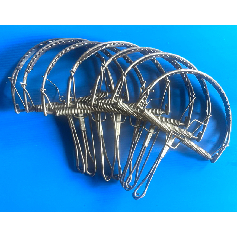 กับดักหนูแบบมีฟันขนาด 6 นิ้ว 1 ชิ้น - รูปที่ 2