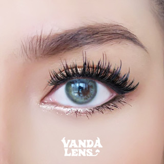 Vanda lens คอนแทคเลนส์สายฝอ รุ่น Venus gray (มีค่าสายตามากกว่านี้ สอบถามก่อนได้ค่ะ)