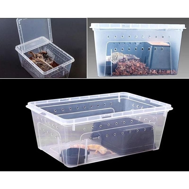 (พร้อมส่ง)Reptile Box กล่องเลี้ยงสัตว์เล็ก สัตว์เลื้อยคลาน แมงมุม ตุ๊กแก กบฮอร์นฟรอก งู