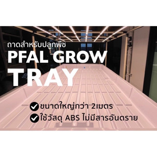 [ราคาพิเศษ สินค้ามีตำหนิเล็กน้อย] ถาดปลูกพืช วัสดุ ABS ระบบ Hydroponics indoor ขนาด 2เมตร ถาดรองปลูก ถาดปลูกต้นไม้