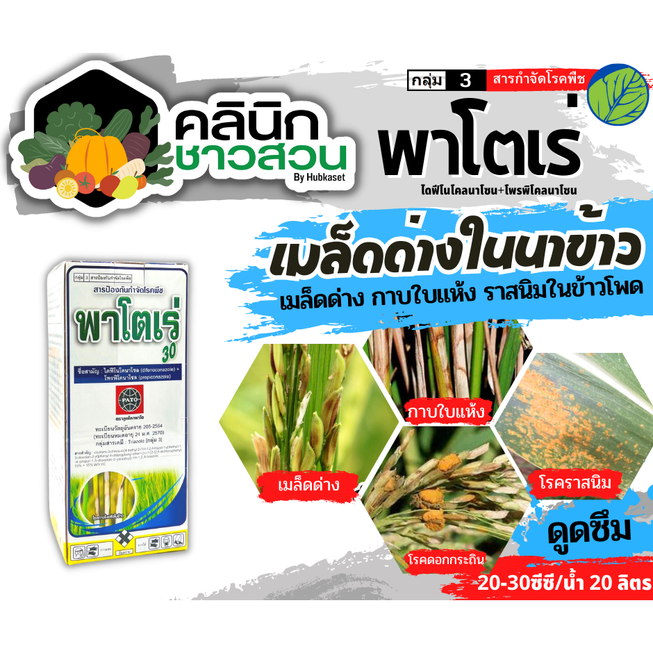 🥬 พาโตเร่ (ไดฟีโนโคนาโซล+โพรพิโคนาโซล) บรรจุ 500ซีซี ป้องกันกำจัดโรคเมล็ดด่าง และกาบใบแห้งในข้าว