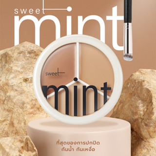 คอนซีลเลอร์ Mint พาเลท 3 สี ปกปิดทุกร่องรอย 1603-1604