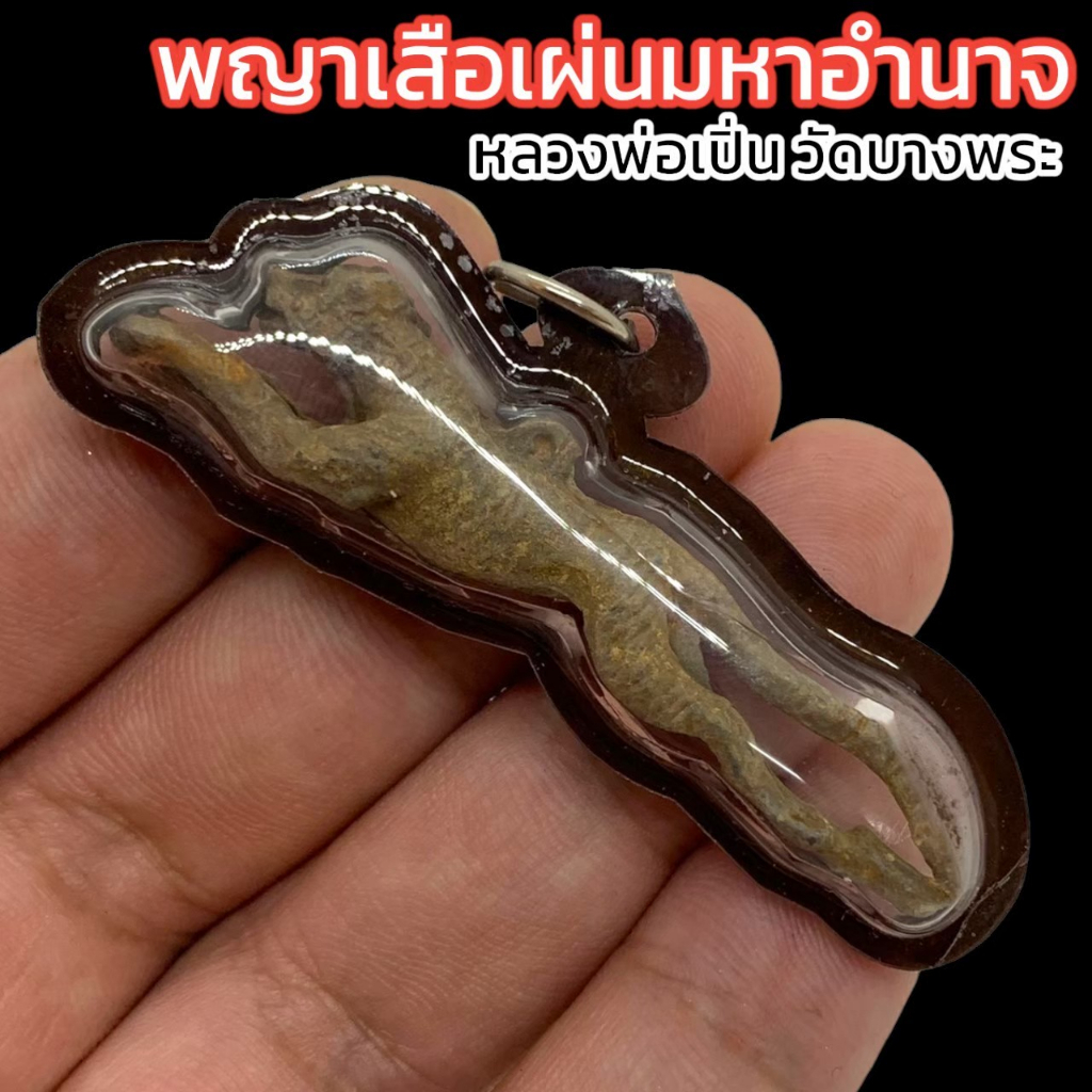 พารวยพญาเสือมหาอำนาจ เสือเผ่นหลวงพ่อเปิ่น วัดบางพระ เนื้อสัมฤทธิ์ เลี่ยมกรอบอย่างดี แคล้วคลาดปลอดภัย