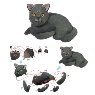 โมเดลกระดาษ 3D : แมว บริติช ช็อตแฮร์ (British Shorthair) กระดาษโฟโต้เนื้อด้าน  กันละอองน้ำ ขนาด A4 2