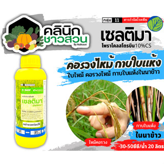 🥬 เซลติมา (ไพราโคลสโตรบิน) บรรจุ 1ลิตร ป้องกันกำจัดโรคใบไหม้แผลใหญ่