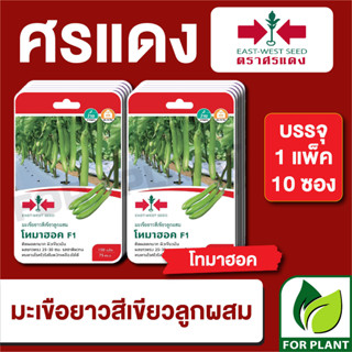 เมล็ดพันธุ์ผัก ผักซอง มะเขือยาว โทมาฮอค F1 ตราศรแดง บรรจุแพ็คล่ะ 10 ซอง ราคา 230 บาท