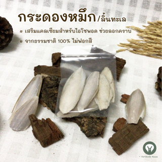 กระดองปลาหมึก/ลิ้นทะเล (Organic cuttlebone) อาหารเสริมแคลเซียมไอโซพอด นก ไก่ เต่า ธรรมชาติ100% ไม่ฟอกสี 🦑