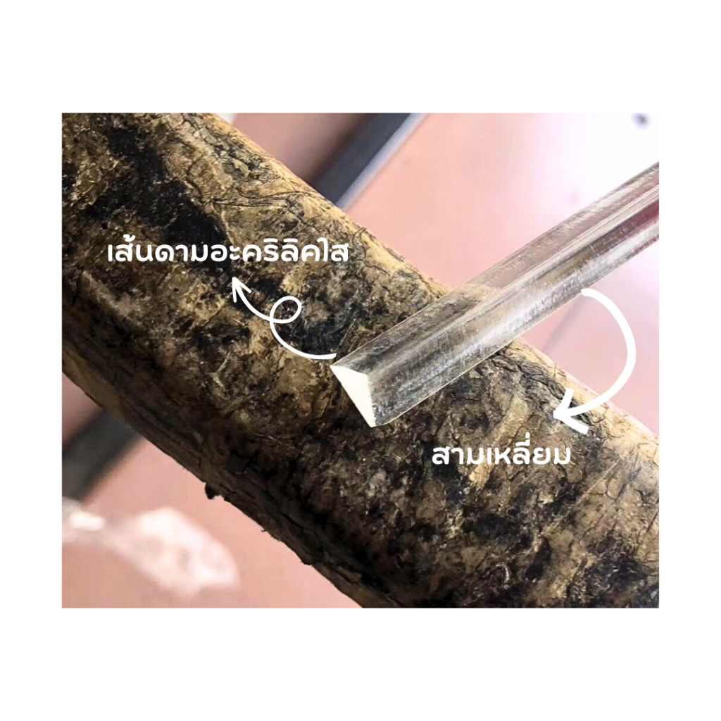 เส้นดาม สามเหลี่ยมและสี่เหลี่ยม อะคริลิค 5มิล ยาว40ซม. (5เส้น/1ชุด)