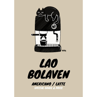 Lao Bolaven กาแฟลาวเกรดพิเศษคัดมือ คั่วกลาง อเมริกาโน คั่วเข้ม ลาเต้ สำหรับร้านค้า หรือดื่มเอง Farmstory จัดให้