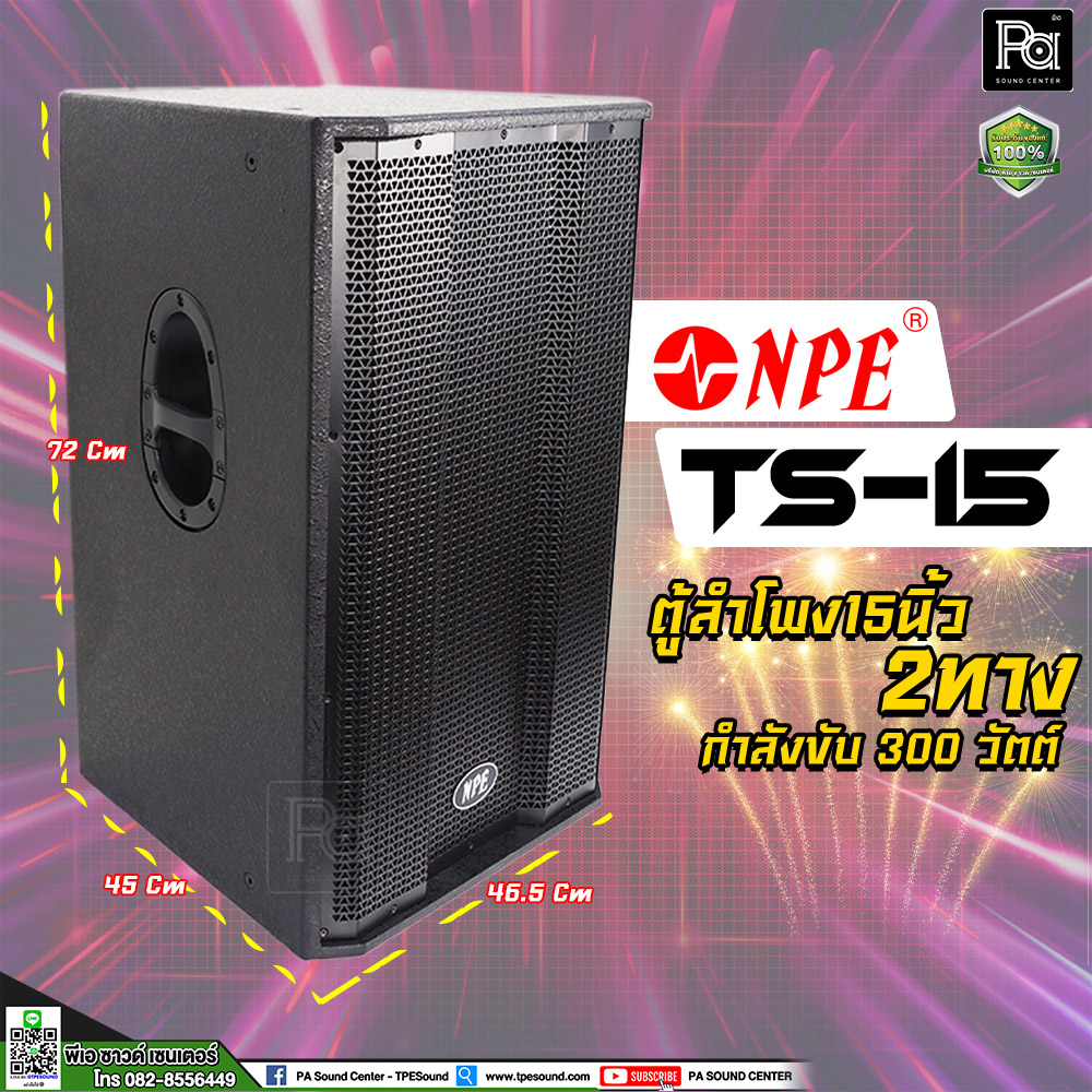 NPE TS-15 ตู้ลำโพง 15 นิ้ว 2 ทาง 300 วัตต์ ตู้ลำโพง15 ตู้ลำโพงไม้แท้ TS 15 ตู้ลำโพง Passive TS15