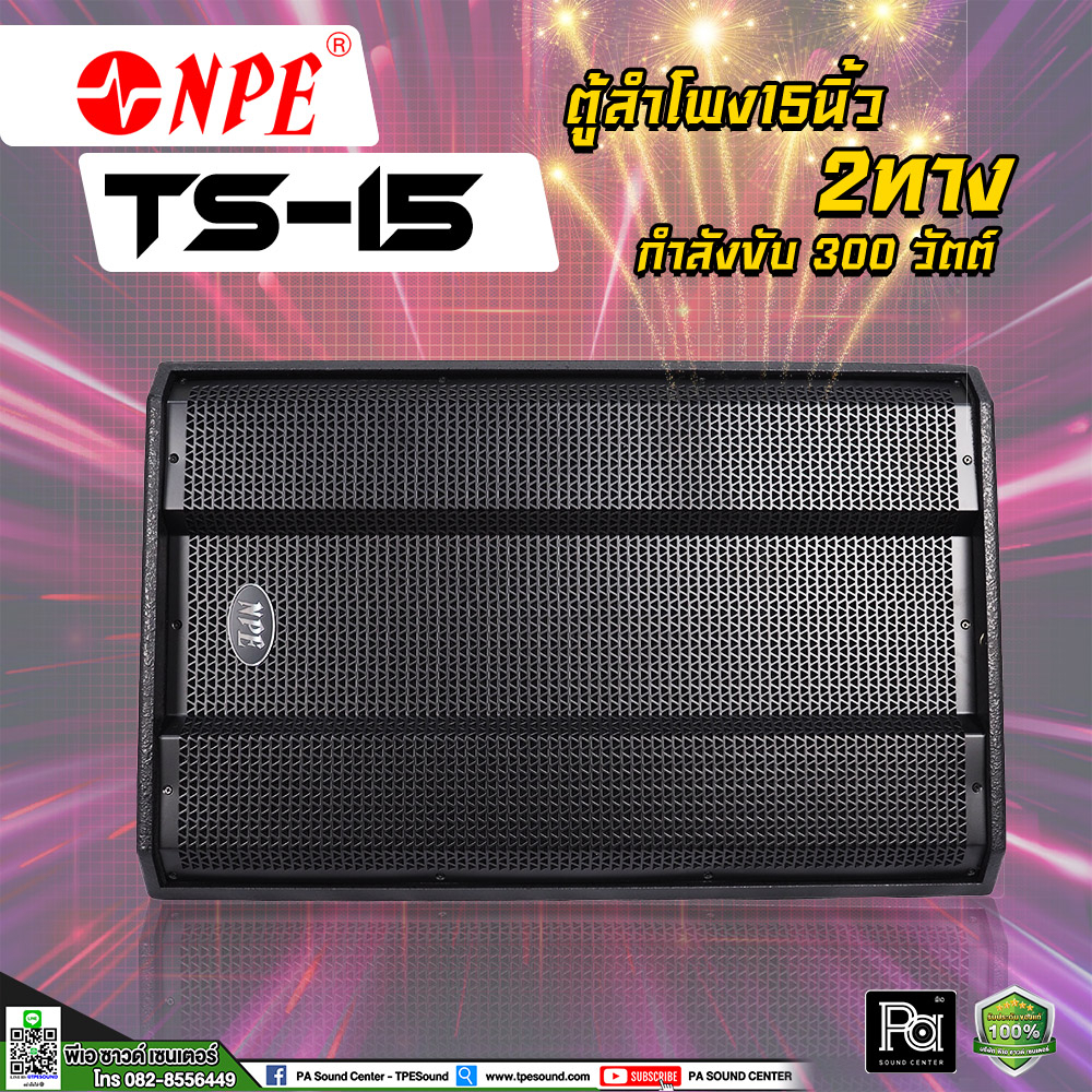 NPE TS-15 ตู้ลำโพง 15 นิ้ว 2 ทาง 300 วัตต์ ตู้ลำโพง15 ตู้ลำโพงไม้แท้ TS 15 ตู้ลำโพง Passive TS15