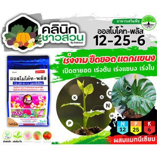 🥬 ออสโมโค้ท-พลัส (12-25-6) บรรจุ 1กิโลกรัม เร่งงาม ยืดยอด แตกแขนง