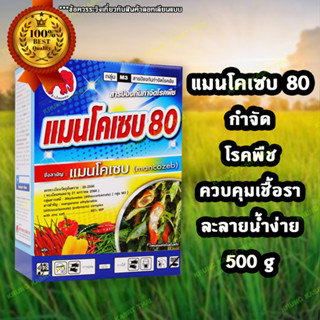 แมนโคเซป 80 ขนาด 500 กรัม ป้องกันและกำจัดเชื้อรา ชนิดต่างๆกว่า 400 ชนิด