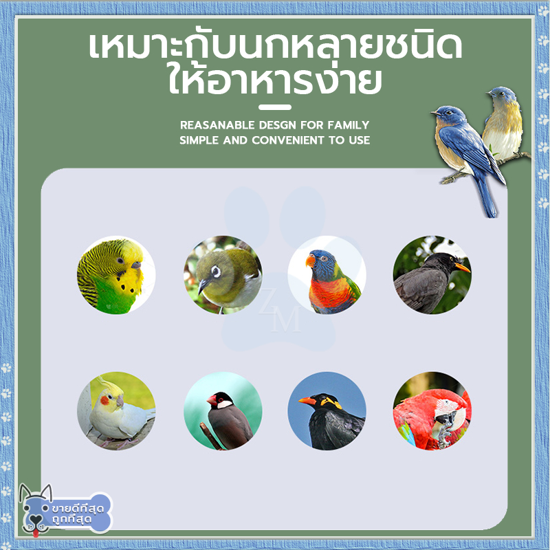 กรงนก กรงนกพกพา50*35*35CM ไม่ต้องติดตั้ง เพียงขยายและใช้งานได้ ติดตั้งง่าย กรงนกเขาใหญ่ กรงนกเล็ก กรงกระต่าย กรงนกใหญ่ - รูปที่ 5