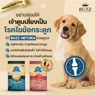 [ล็อตใหม่] Buzz Netura อาหารสุนัข บัซซ์ Holistic โฮลิสติก เกรนฟรี สุนัขโต พันธุ์ เล็ก กลาง ใหญ่ รส ไก่ / แซลมอน 2.5 kg
