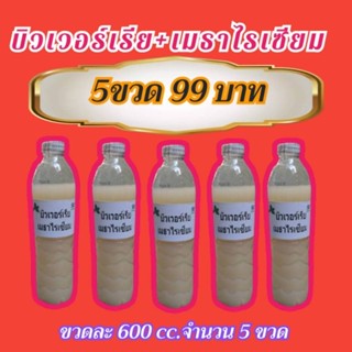 บิวเวอร์เรีย+เมธาไรเซียมขนาด600cc.จำนวน 6 ขวด