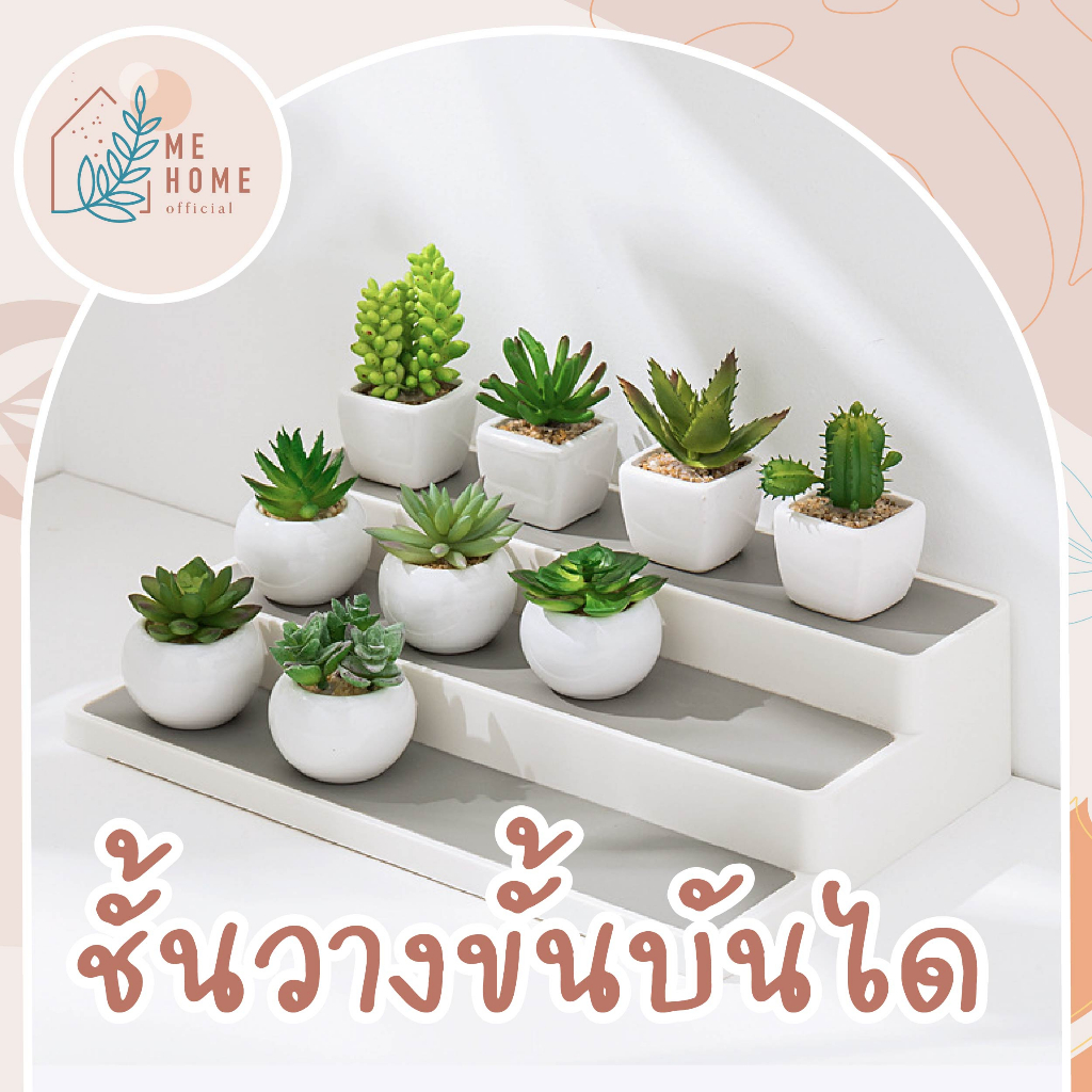 ขั้นบันได ชั้นวางของ ที่วางขวดในครัว ชั้นวางโมเดล