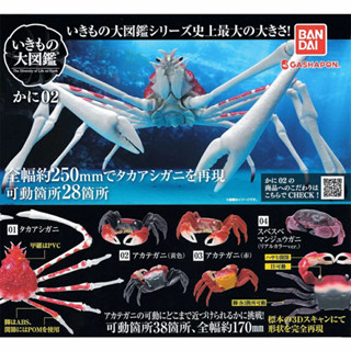 (มีของพร้อมส่ง) Gashapon กาชาปองปูยักษ์ Bandai Ikimono Encyclopedia Crab Vol.02 โมเดลสัตว์