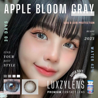 Luxzy lens Apple Bloom (Gray) ค่าสายตา 0.00-600