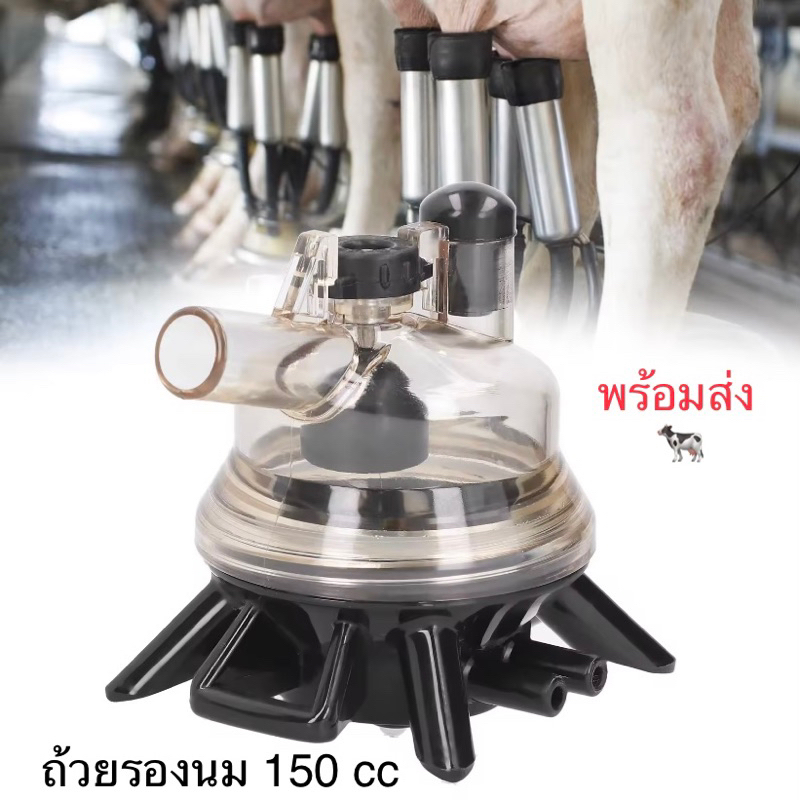 (พร้อมส่งจากไทย)ถ้วยรองนมวัว ถ้วยรองนมเครื่องรีดนมวัว ขนาด 150 ซีซี ถ้วยรองนมอินเตอร์