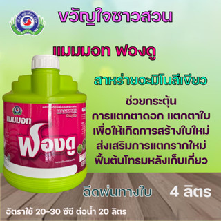 แมมมอท ฟองดู ขนาด 4 ลิตร ธาตุอาหารเสริมพืช ฮอร์โมนพืช (ฟื้นต้นหลังเก็บเกี่ยว สร้างดอก เปิดตาดอก)เทพวัฒนาตราปลาคู่