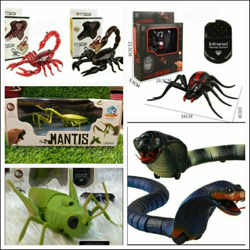 ของเล่นเด็กรวมสัตว์น่ารักๆบังคับได้ด้วยรีโมทพร้อมถ่านให้คะ