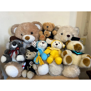 ตุ๊กตาหมี the bear and the gang