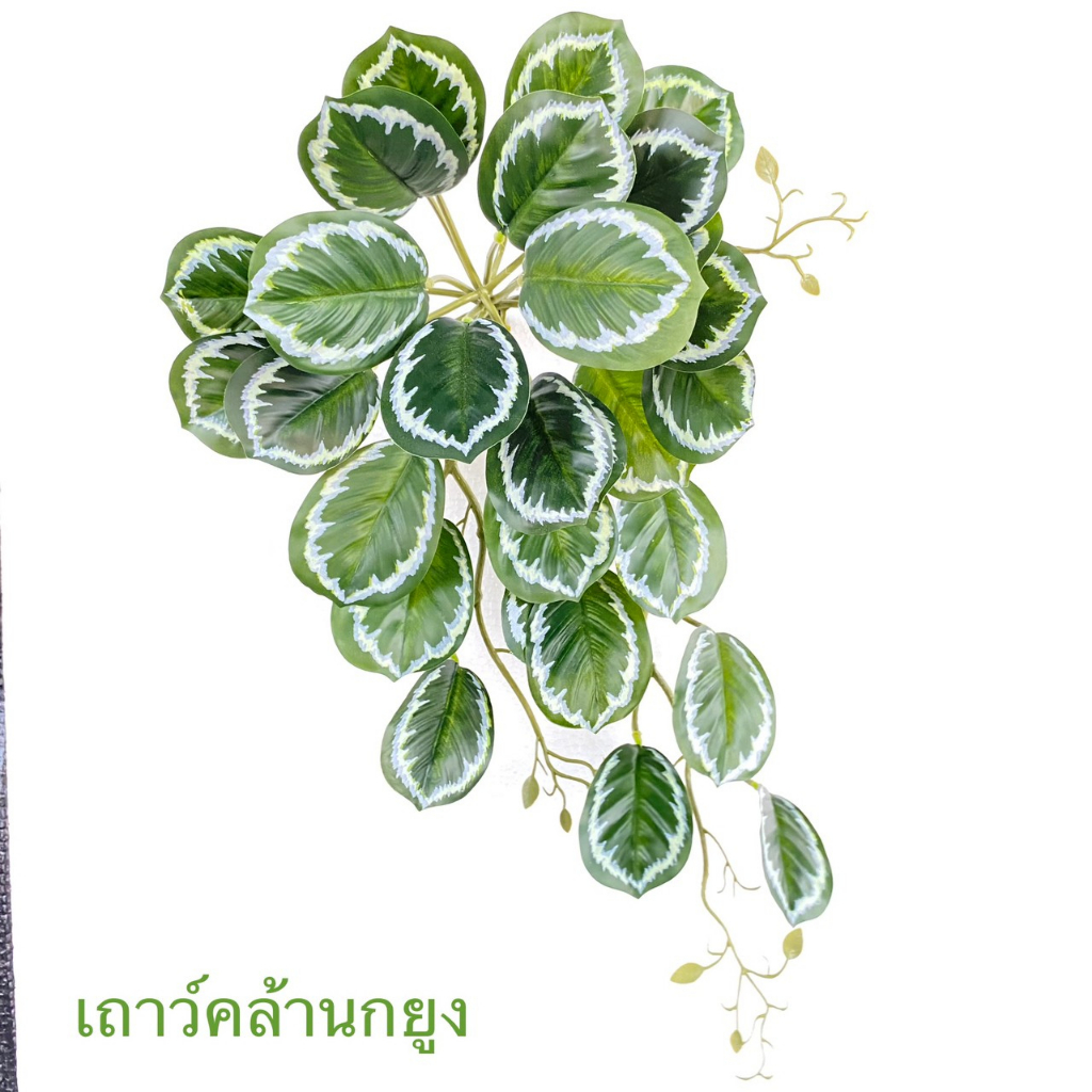 เถาวัลย์ประดิษฐ์ ตกแต่งวางตั้งโต๊ะ เถาวัลย์พร้อมกระถางแถมหิน ราคา ถูกที่สุด ดีลบีเคเค แกลเลอรีภาพที่ 8