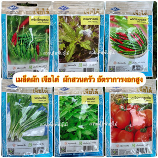 เมล็ดพันธุ์ผักเจียไต๋ ผักซอง 10บาท ผักบุ้งจีนพริกจินดาเเดง เเตงกวา ผักชีกะเพราแดง กะเพรา โหระพา แมงลัก