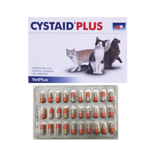 (ส่งไว ของแท้จากบริษัท)CYSTAID PLUS อาหารเสริมบำรุงทางเดินปัสสาวะ 1 กล่อง 30 เม็ด (EXP 03/2025)