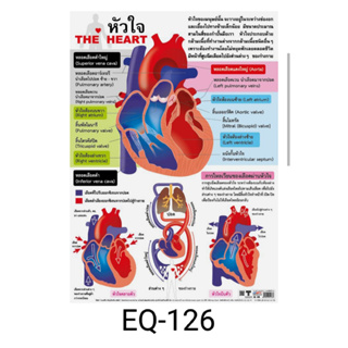 หัวใจ EQ 126 โปสเตอร์สื่อการสอน หุ้มพลาสติก ขนาด 50 * 70 cm