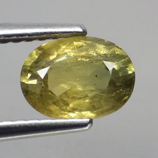 พลอย แซฟไฟร์ บุษราคัม แท้ ธรรมชาติ ( Natural Yellow Sapphire ) 1.43 กะรัต